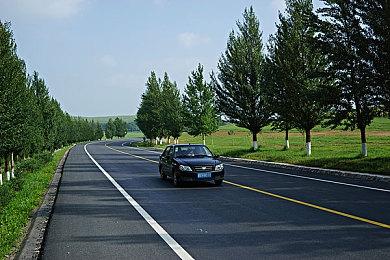 《宝可梦：朱＆紫》三男三女道馆馆主截图泄露