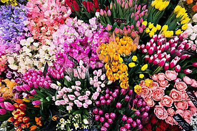 3DM速报：国产游戏版号终于下发 动视暴雪任命「多元化与包容官」